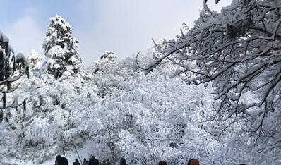 八零公司登山拓展训练